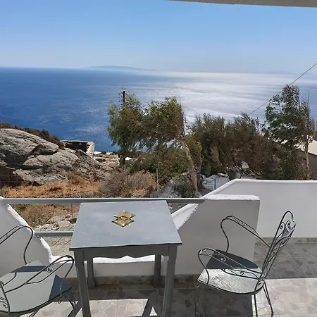 Silver View